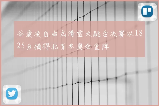 谷爱凌自由式滑雪大跳台决赛以1825分摘得北京冬奥会金牌