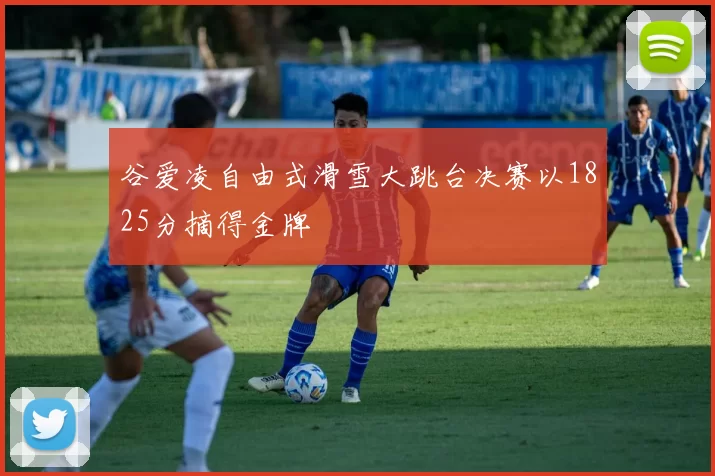 谷爱凌自由式滑雪大跳台决赛以1825分摘得金牌