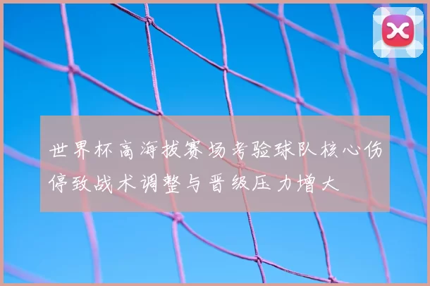 世界杯高海拔赛场考验球队核心伤停致战术调整与晋级压力增大