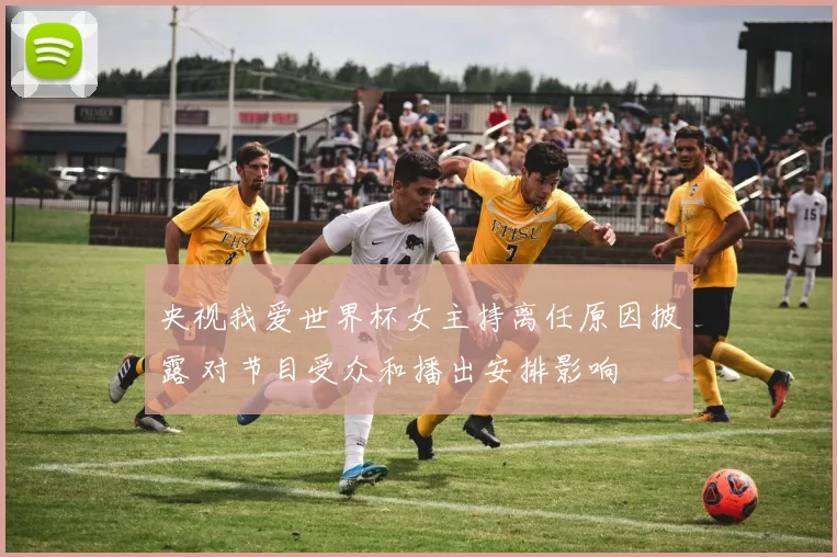 央视我爱世界杯女主持离任原因披露 对节目受众和播出安排影响